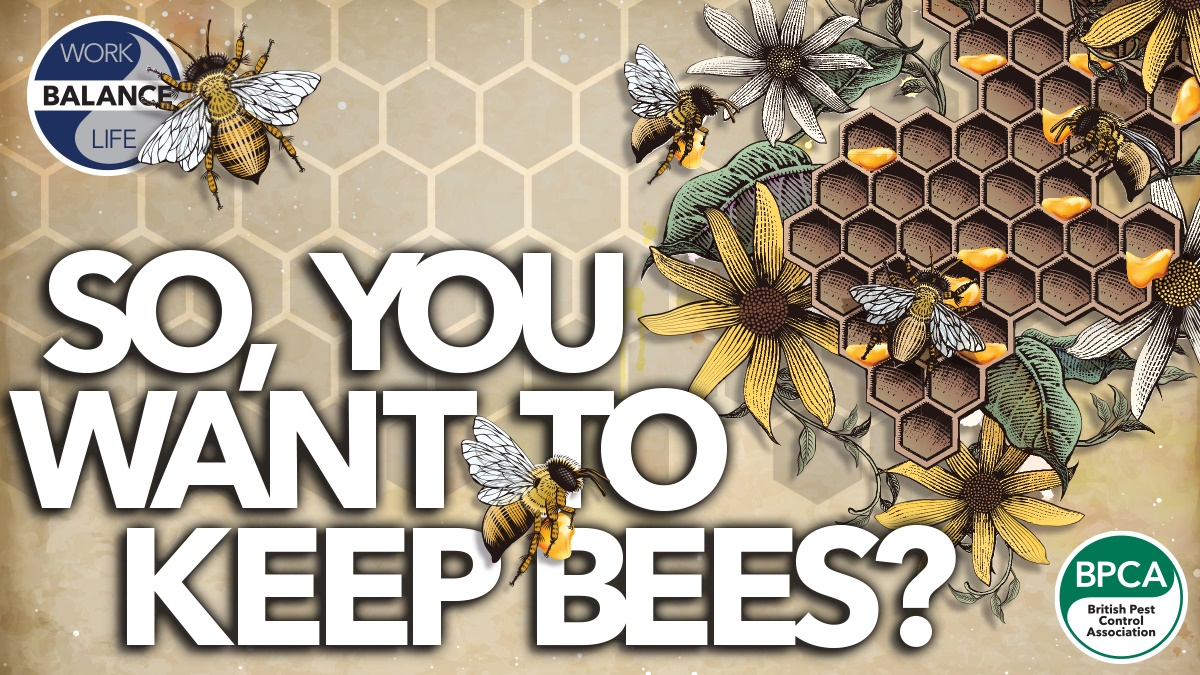 beekeping hero2 beekeping hero2